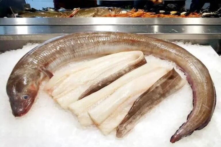 Master The Art Of Cooking Eel – A Step-by-Step Guide For Beginners