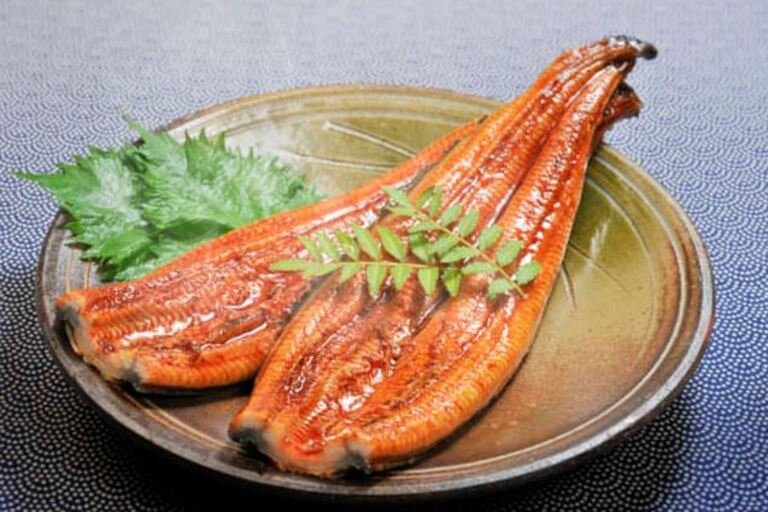 A Beginner's Guide To Cooking With Eel – Tips And Tricks